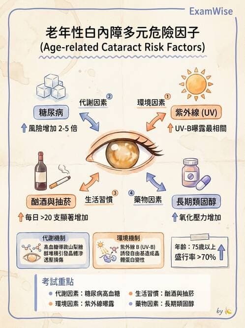 專師 - 眼耳鼻喉外科 - AI 圖文解析預覽