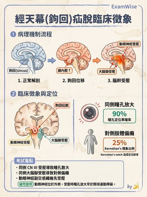 專師 - 頭部外傷與顱內壓 - AI 圖文解析預覽