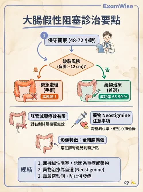專師 - 腹部評估與急腹症 - AI 圖文解析預覽