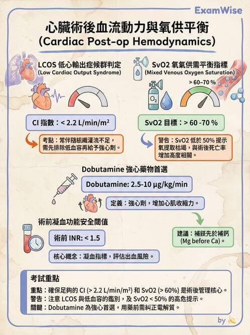 專師 - 心臟外科與介入 - AI 圖文解析預覽