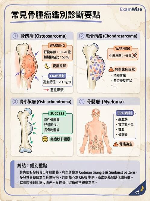 專師 - 骨折併發症與骨腫瘤 - AI 圖文解析預覽
