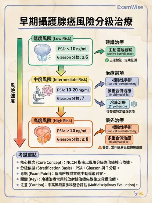 專師 - 攝護腺疾病 - AI 圖文解析預覽