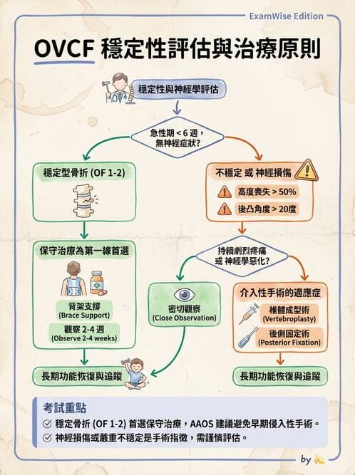 專師 - 脊椎疾病 - AI 圖文解析預覽