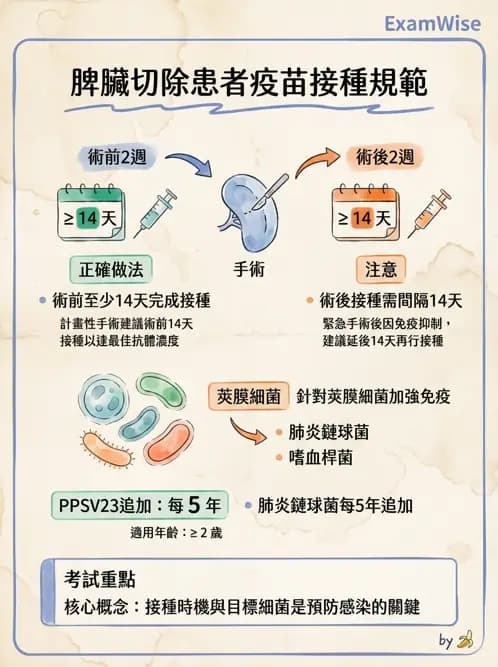 專師 - 肝膽胰脾外科 - AI 圖文解析預覽