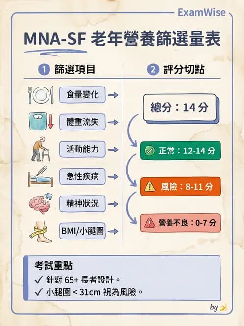 營養 - 營養篩檢與評估量表 - AI 圖文解析預覽