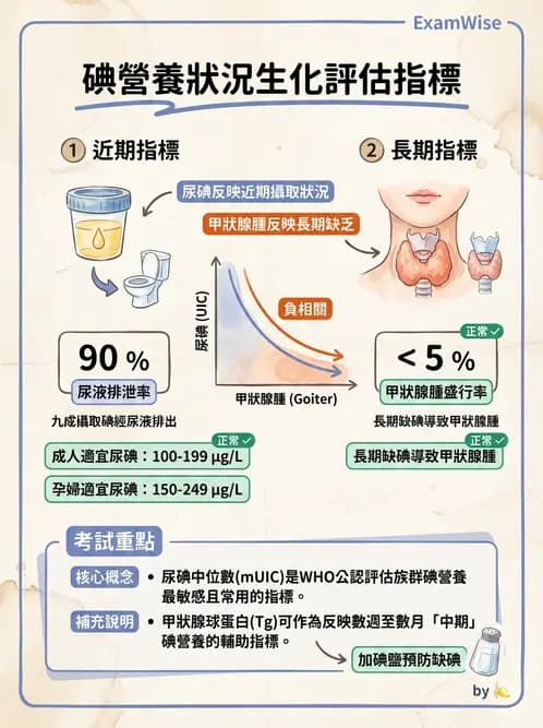 營養 - 生化指標與營養缺乏 - AI 圖文解析預覽