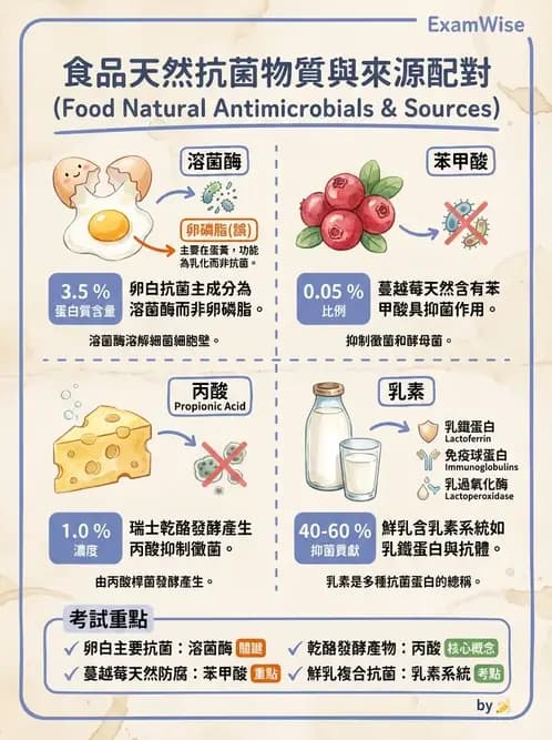 營養 - 食品腐敗微生物學 - AI 圖文解析預覽
