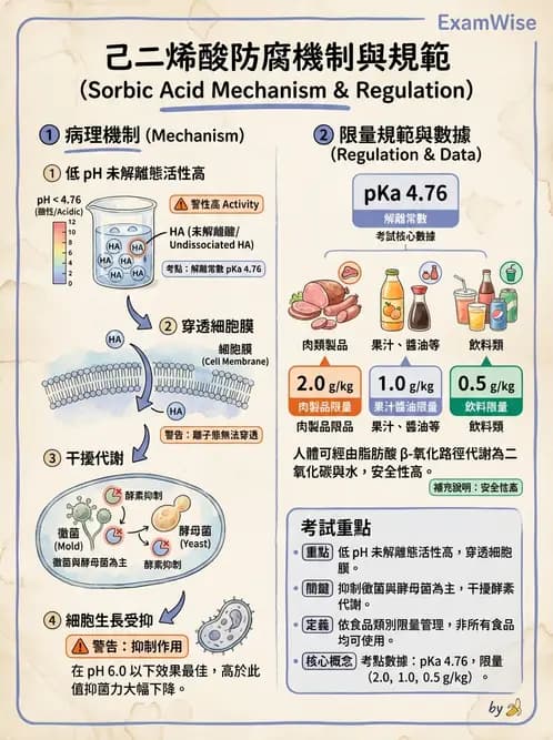 營養 - 食品添加物 - AI 圖文解析預覽
