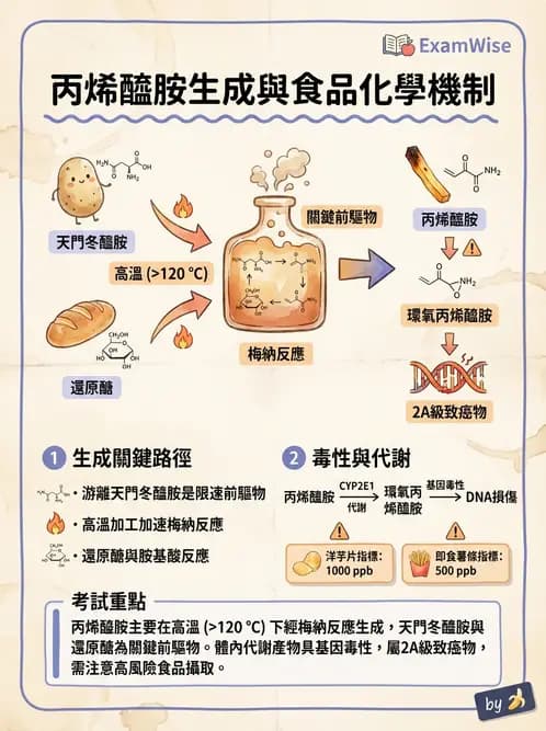 營養 - 化學性危害 - AI 圖文解析預覽