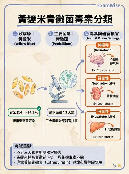 營養 - 天然毒素 - AI 圖文解析預覽
