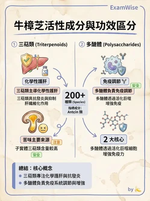 營養 - 當代營養學相關議題 - AI 圖文解析預覽