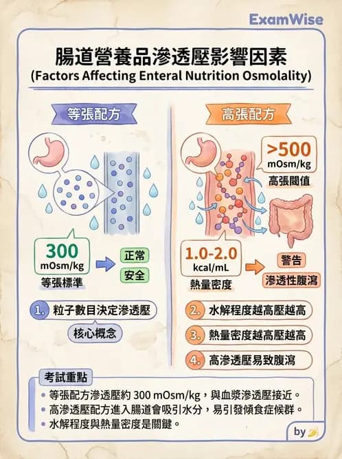 營養 - 營養支持 - AI 圖文解析預覽
