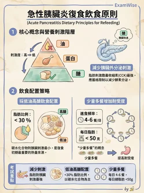 營養 - 肝膽疾病 - AI 圖文解析預覽
