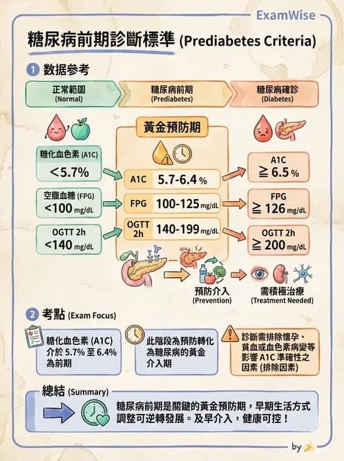 營養 - 糖尿病與代謝症候群 - AI 圖文解析預覽