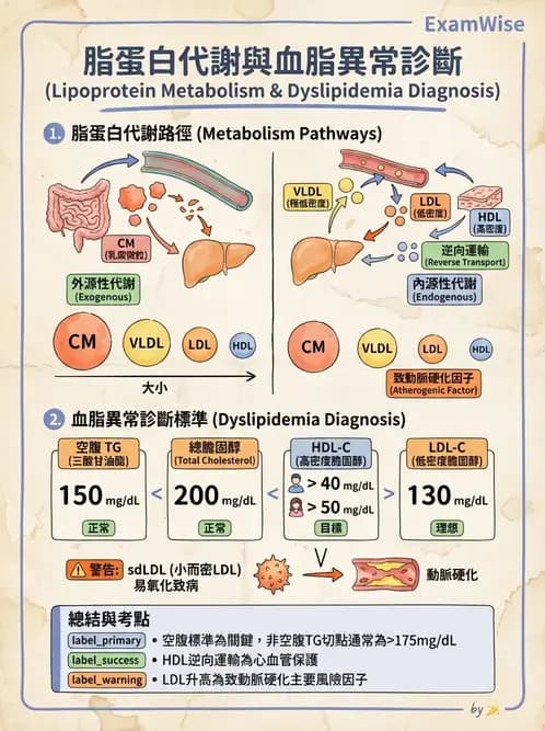 營養 - 心臟衰竭、移植與血脂管理 - AI 圖文解析預覽