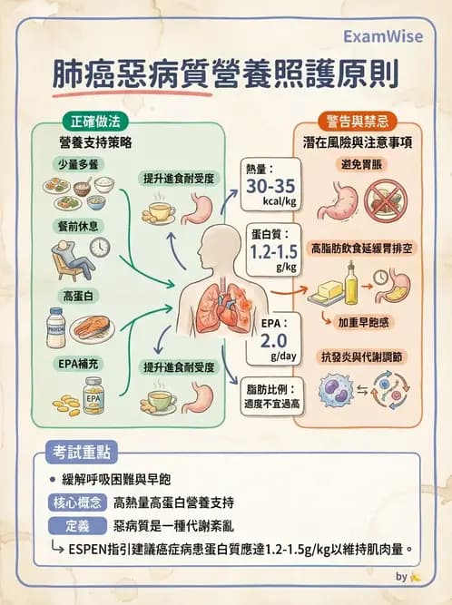 營養 - 癌症營養 - AI 圖文解析預覽