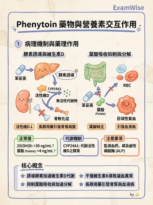 營養 - 藥物與營養素交互作用 - AI 圖文解析預覽