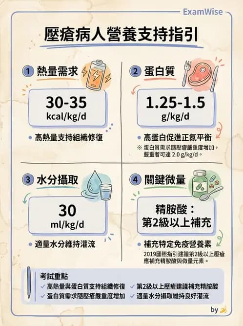 營養 - 老人營養與長期照護 - AI 圖文解析預覽