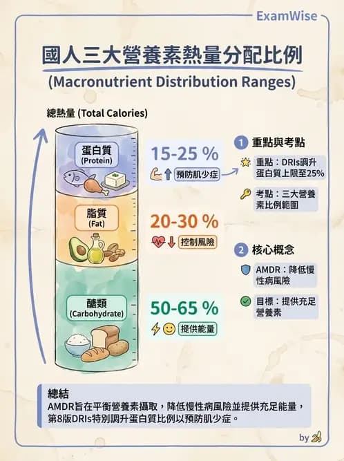 營養 - 機構供膳類型與特殊對象飲食設計 - AI 圖文解析預覽