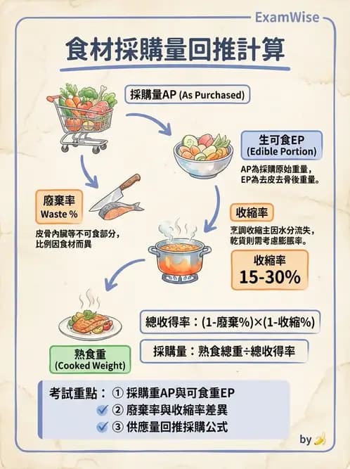 營養 - 食材用量計算與食物代換 - AI 圖文解析預覽