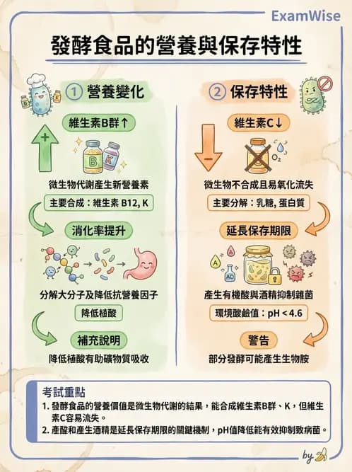 營養 - 食品腐敗微生物學 - AI 圖文解析預覽