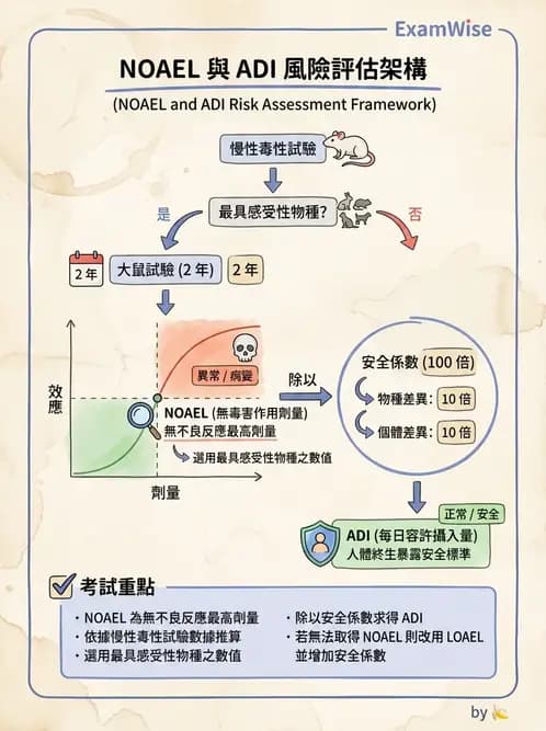 營養 - 食品安全性評估 - AI 圖文解析預覽