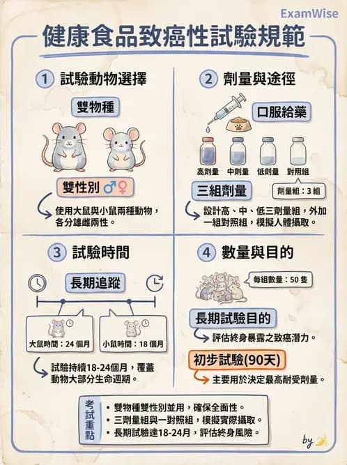 營養 - 食品安全性評估 - AI 圖文解析預覽