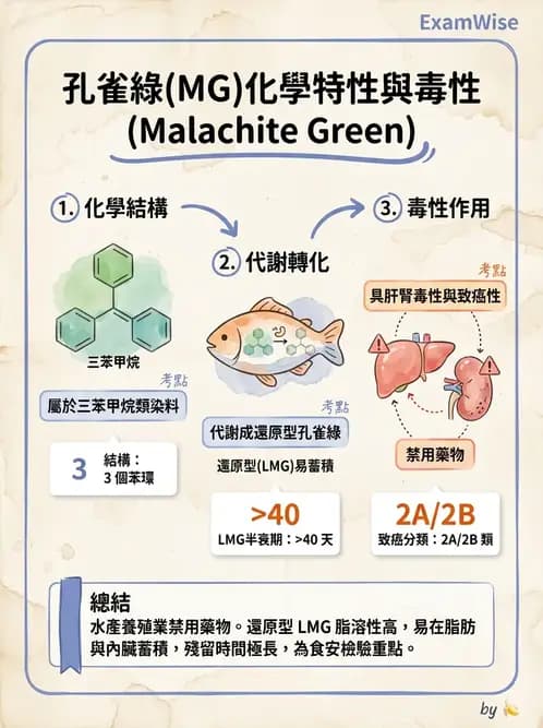 營養 - 化學性危害 - AI 圖文解析預覽
