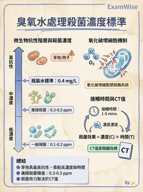營養 - 食品用洗潔劑與殺菌消毒 - AI 圖文解析預覽