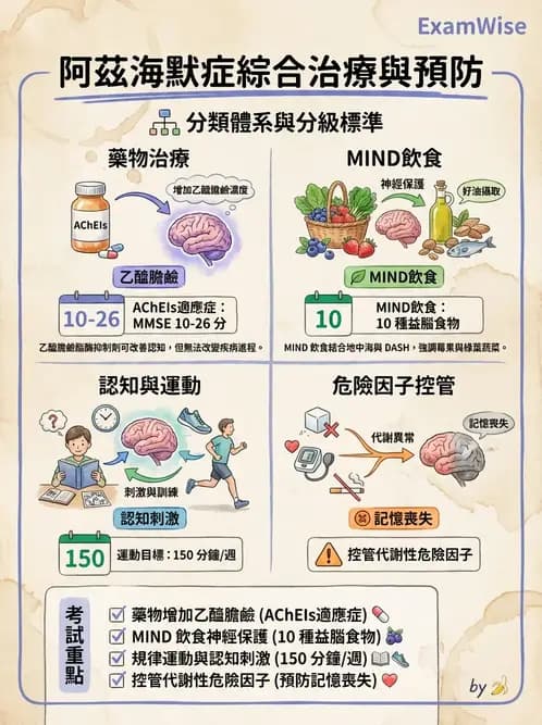 營養 - 神經系統生理學 - AI 圖文解析預覽