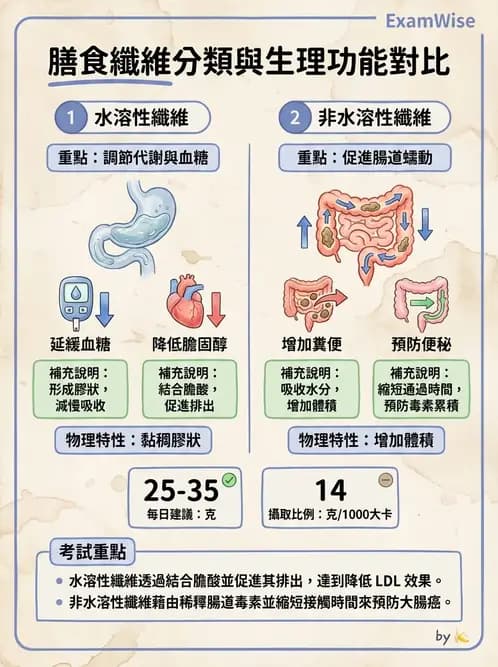 營養 - 醣類結構與膳食纖維 - AI 圖文解析預覽