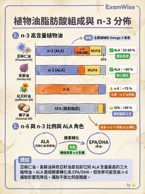 營養 - 脂肪酸種類與必需脂肪酸 - AI 圖文解析預覽