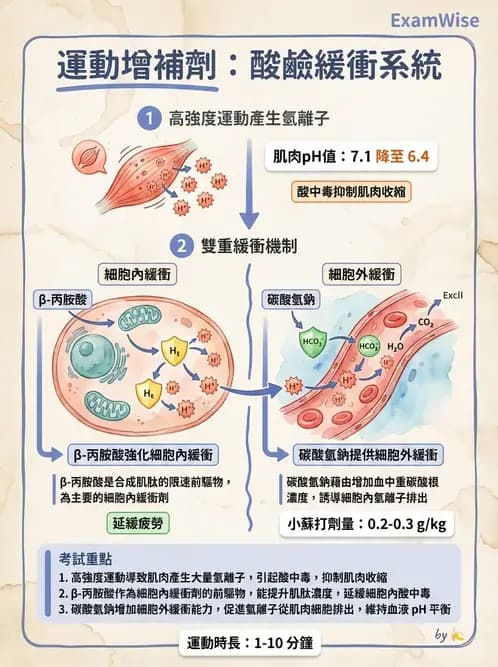 營養 - 當代營養學相關議題 - AI 圖文解析預覽