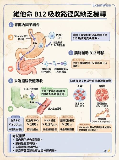 專師 - 營養學 - AI 圖文解析預覽
