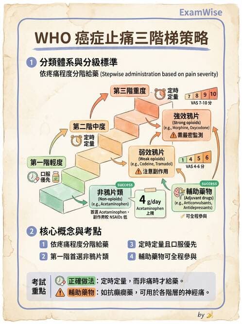 專師 - 疼痛控制與止痛藥物 - AI 圖文解析預覽