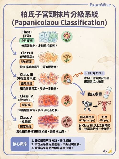 專師 - 乳癌與婦癌 - AI 圖文解析預覽