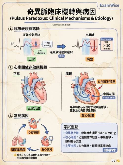 專師 - 心包膜與心肌疾病 - AI 圖文解析預覽