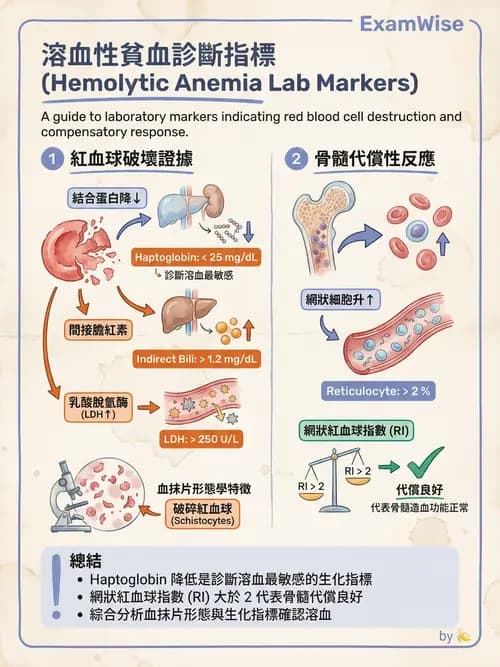 專師 - 血液疾病 - AI 圖文解析預覽
