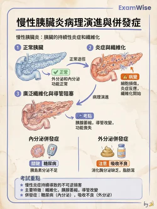 專師 - 膽道與胰臟 - AI 圖文解析預覽