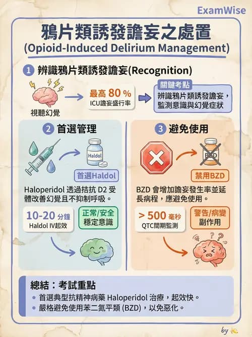 專師 - 燒傷 - AI 圖文解析預覽