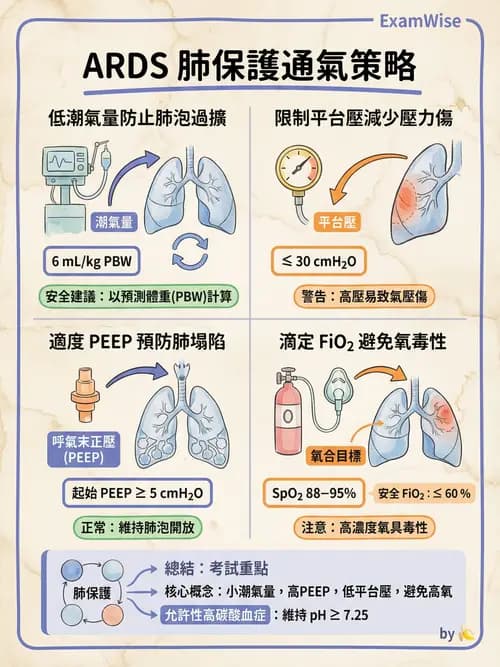 專師 - 呼吸治療與ABG - AI 圖文解析預覽