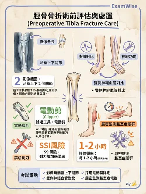 專師 - 骨折與骨質疏鬆 - AI 圖文解析預覽