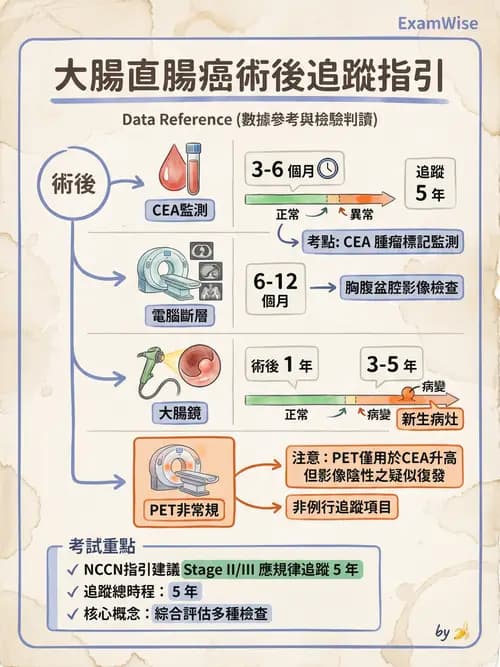 專師 - 大腸直腸癌與息肉 - AI 圖文解析預覽