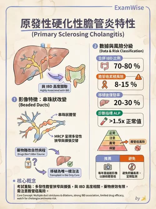 專師 - 膽道與胰臟 - AI 圖文解析預覽