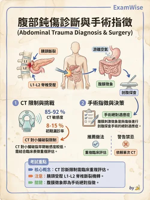 專師 - 胸腹部創傷 - AI 圖文解析預覽