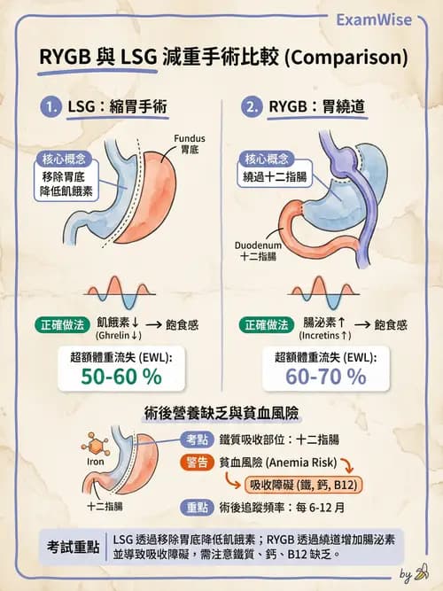 專師 - 上消化道與減重外科 - AI 圖文解析預覽