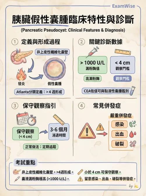 專師 - 膽道與胰臟 - AI 圖文解析預覽