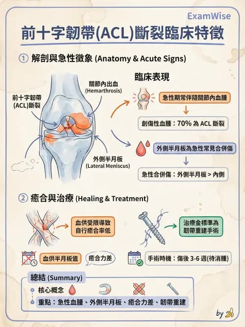 專師 - 膝關節與下肢運動傷害 - AI 圖文解析預覽
