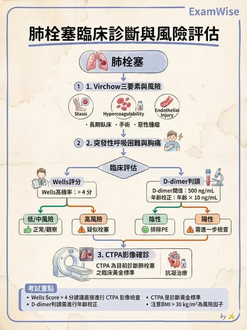 專師 - 膝關節與下肢運動傷害 - AI 圖文解析預覽