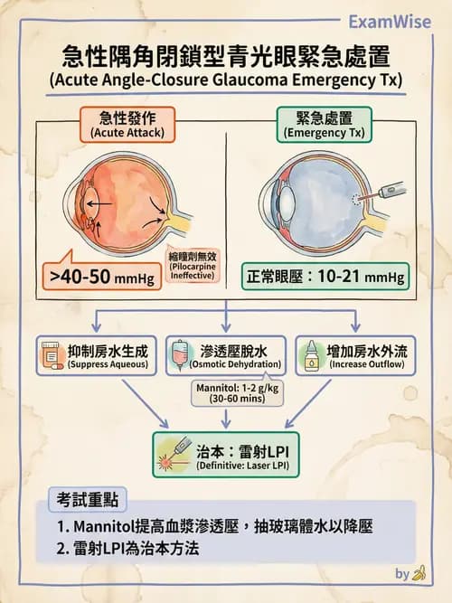專師 - 眼耳鼻喉外科 - AI 圖文解析預覽